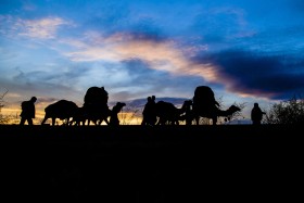 دهمین سوگواره عاشورایی عکس هیأت-پویا بیات-مجالس احیای امراهل‌البیت علیهم‌السلام تک عکس-دوربین دیجیتال